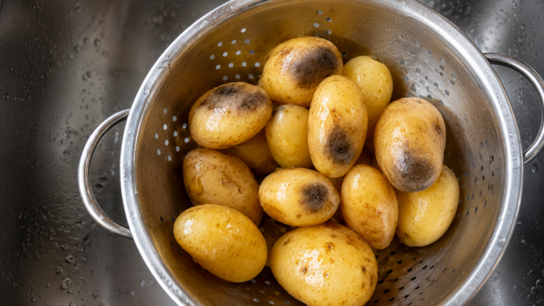 Perché le patate cotte diventano nere? Cause, prevenzione e consigli utili